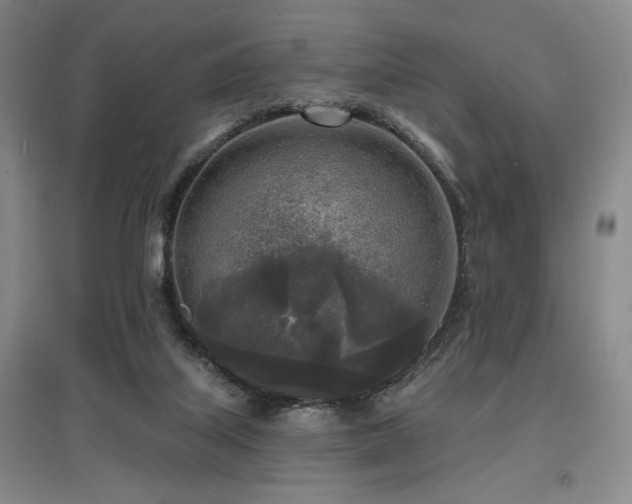 X0000097610067200802291312