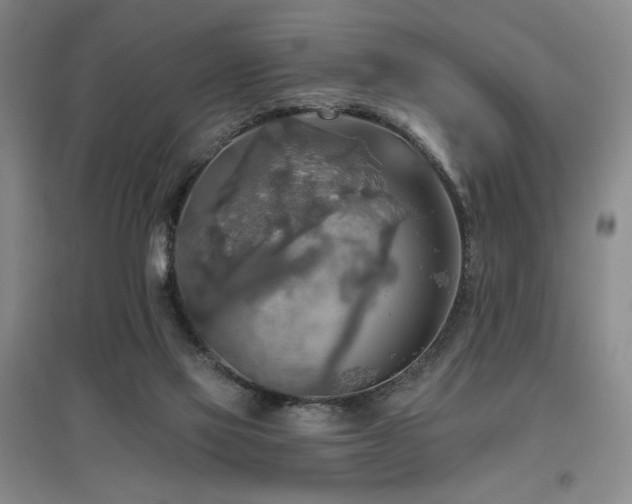 X0000097610069200802291312