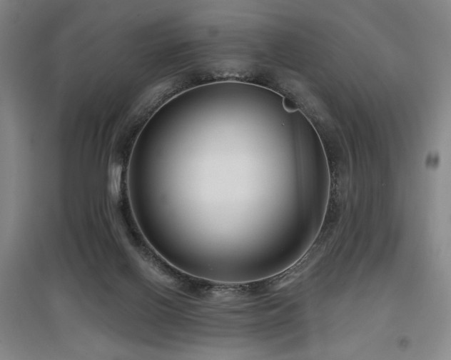 X0000097610070200802291312
