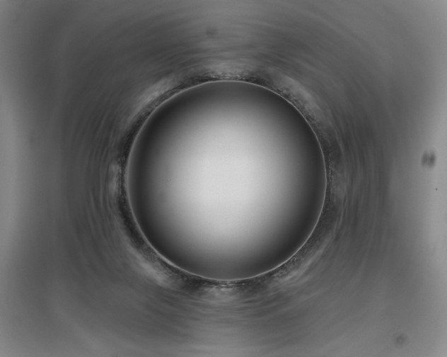 X0000097610071200802291312