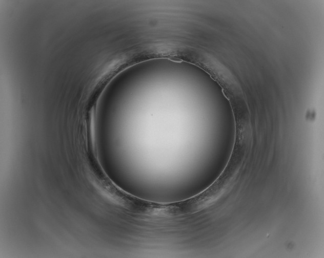 X0000097610072200802291312