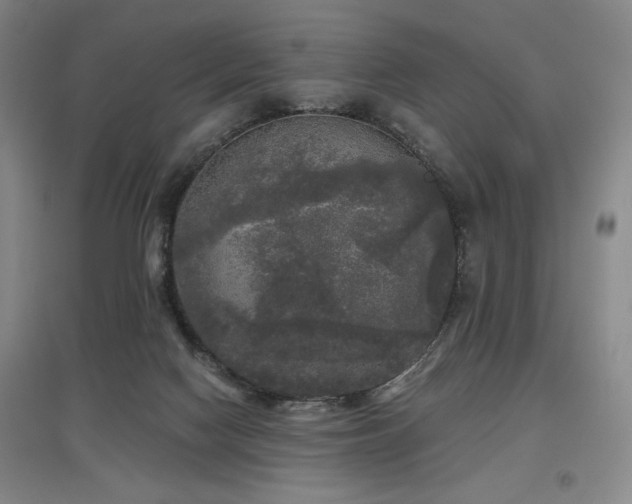 X0000097610074200802291312