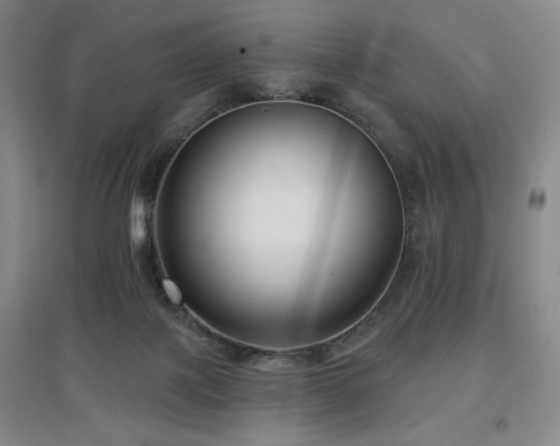 X0000097610075200802291312