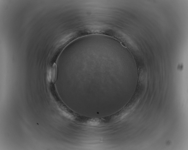 X0000097610076200802291312