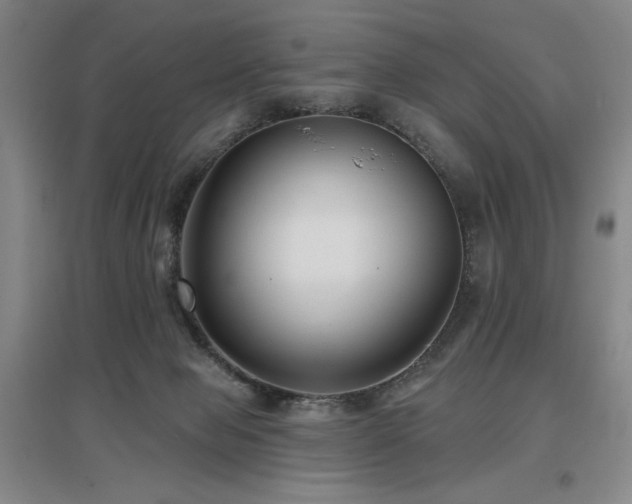 X0000097610077200802291312