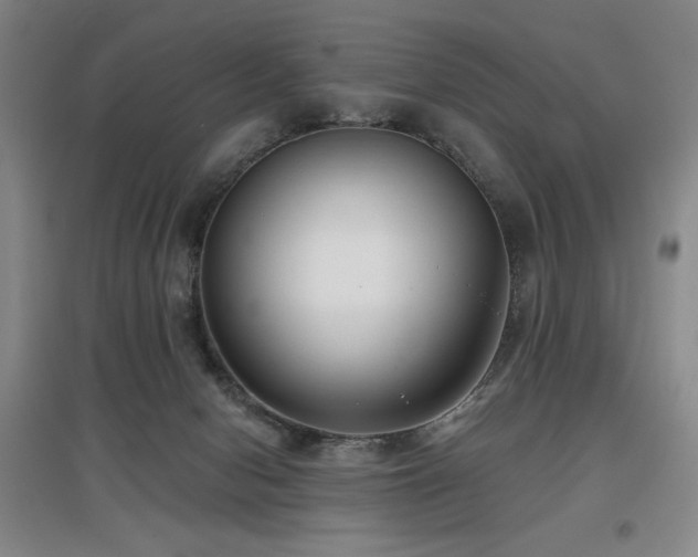 X0000097610078200802291312