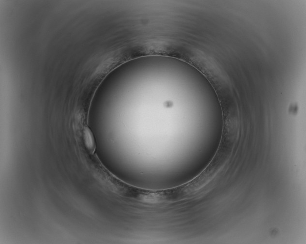 X0000097610079200802291312