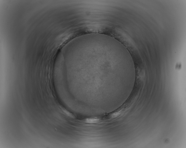 X0000097610080200802291312