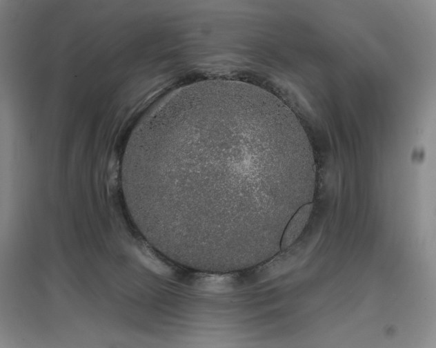 X0000097610081200802291312
