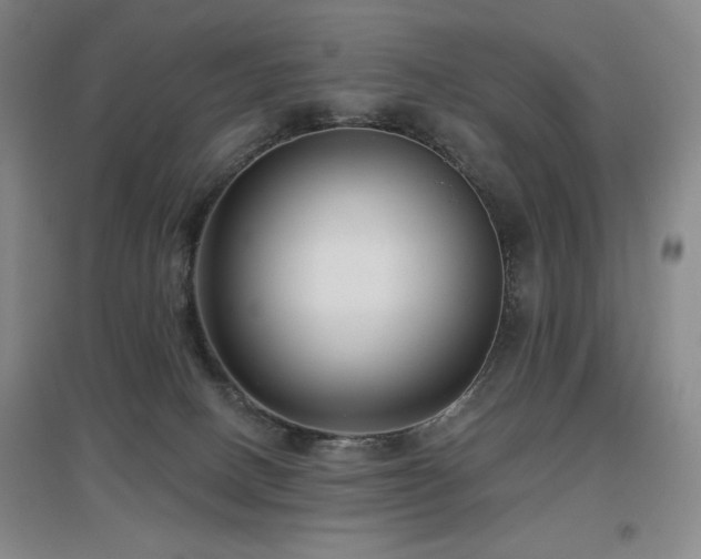 X0000097610082200802291312