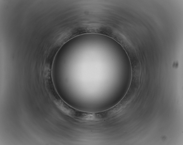 X0000097610083200802291312