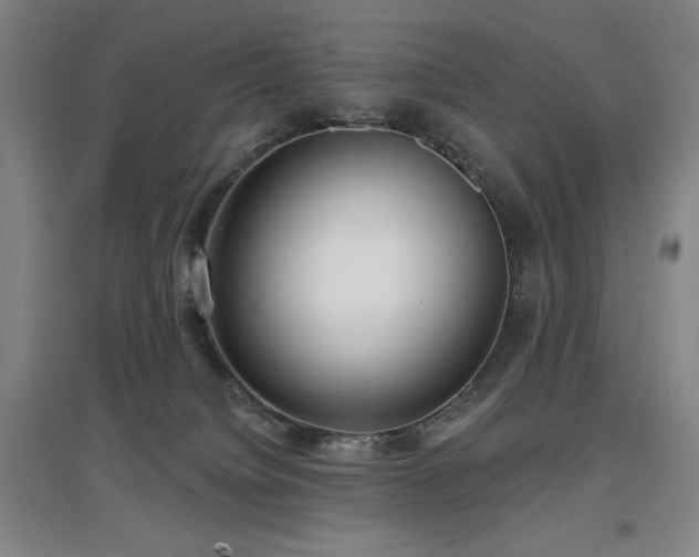 X0000097610084200802291312