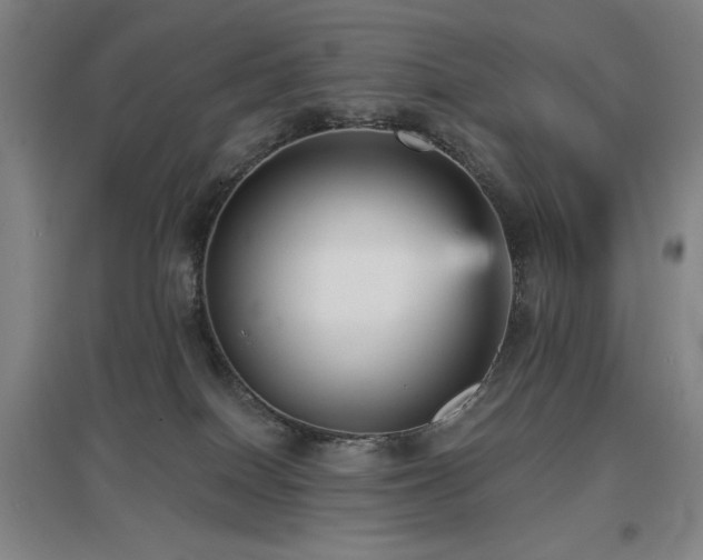 X0000097610086200802291312