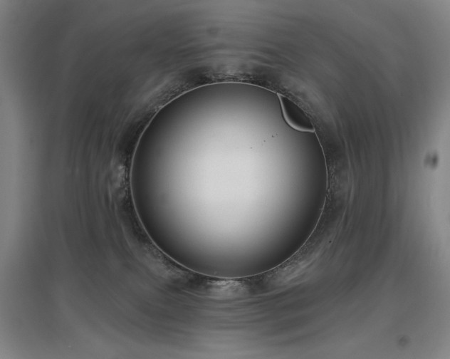 X0000097610087200802291312
