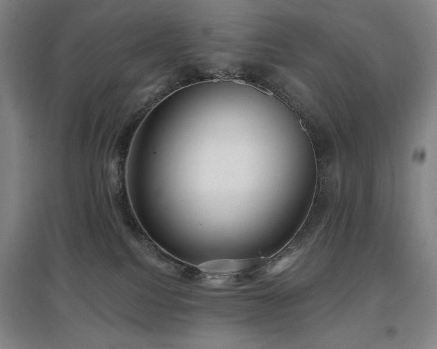 X0000097610088200802291312