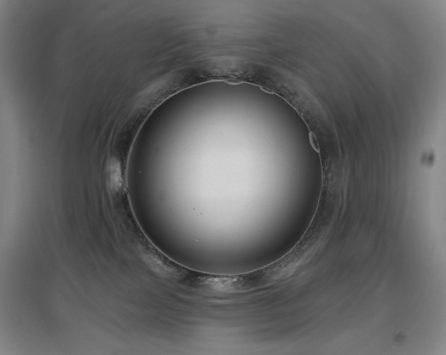 X0000097610089200802291312