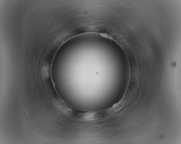 X0000097610090200802291312