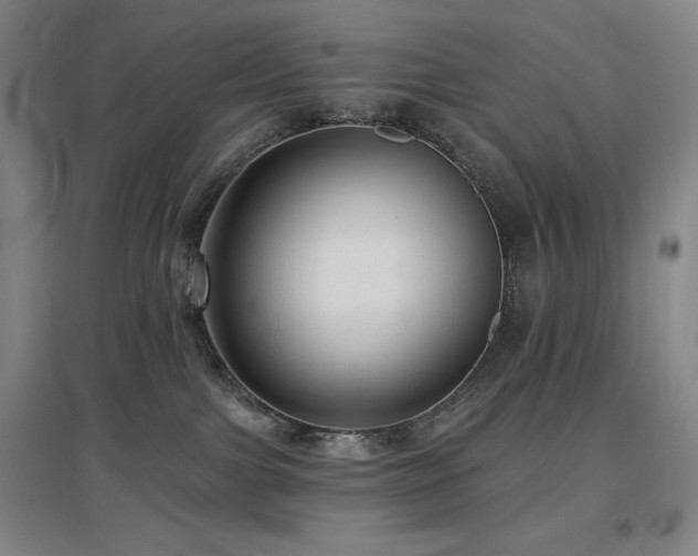 X0000097610091200802291312