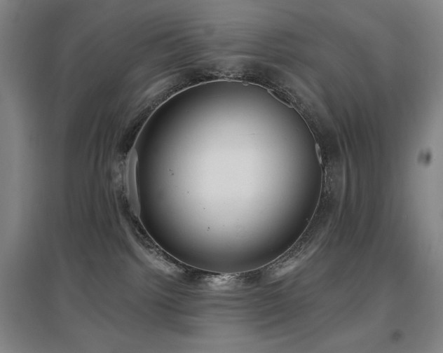 X0000097610092200802291312