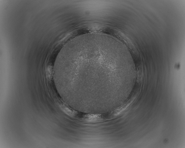 X0000097610093200802291312