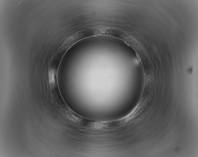 X0000097610094200802291312