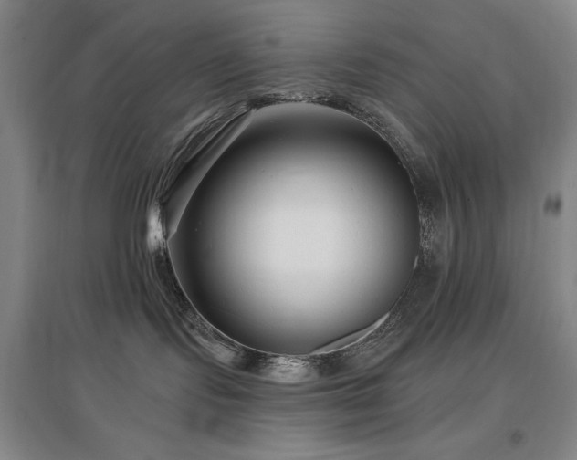 X0000097610095200802291312