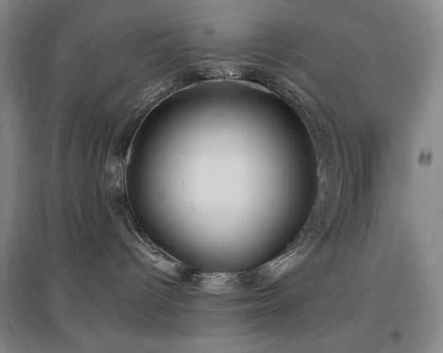 X0000097610096200802291312
