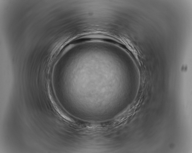 X0000097610097200802291311