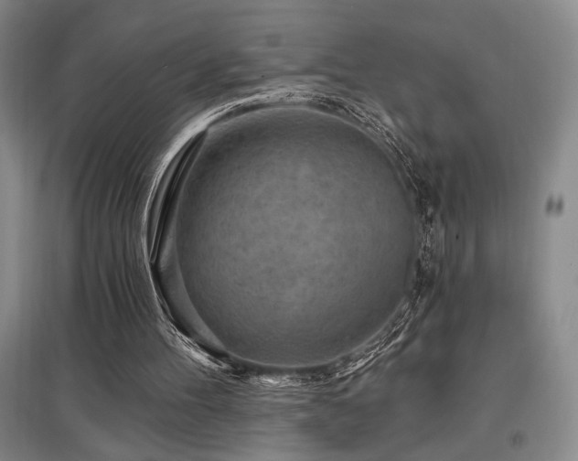 X0000097610100200802291311