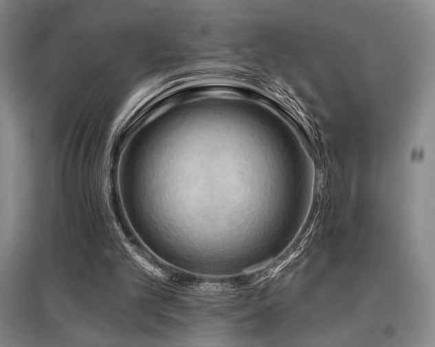 X0000097610101200802291311