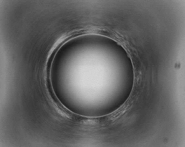X0000097610102200802291311