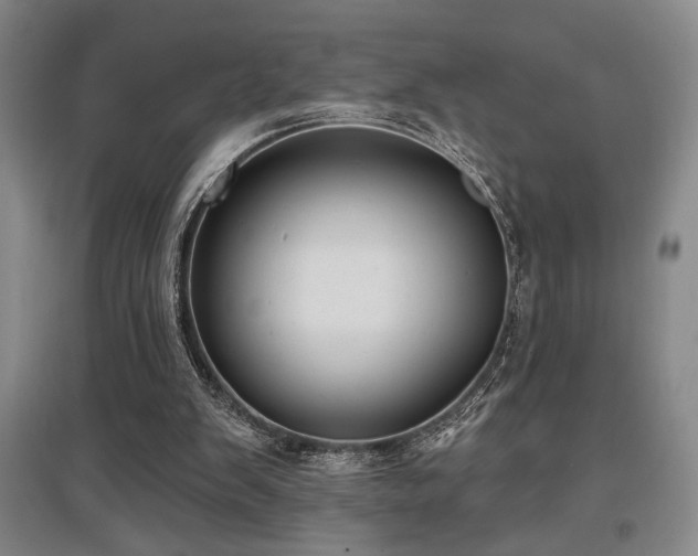 X0000097610103200802291311