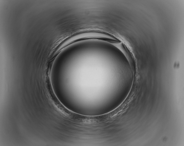 X0000097610105200802291311