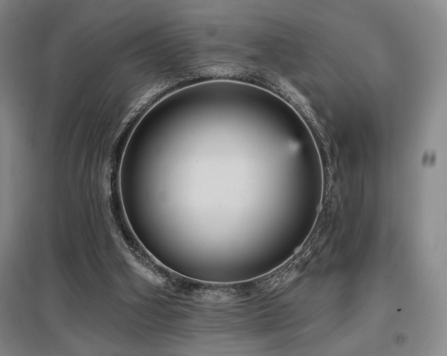 X0000097610106200802291311