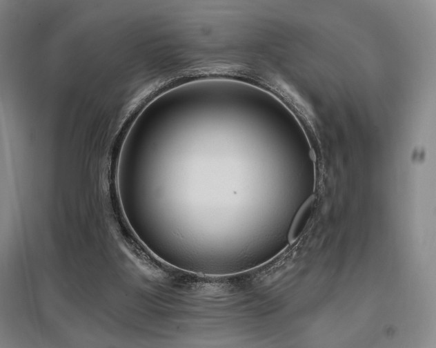 X0000097610107200802291311