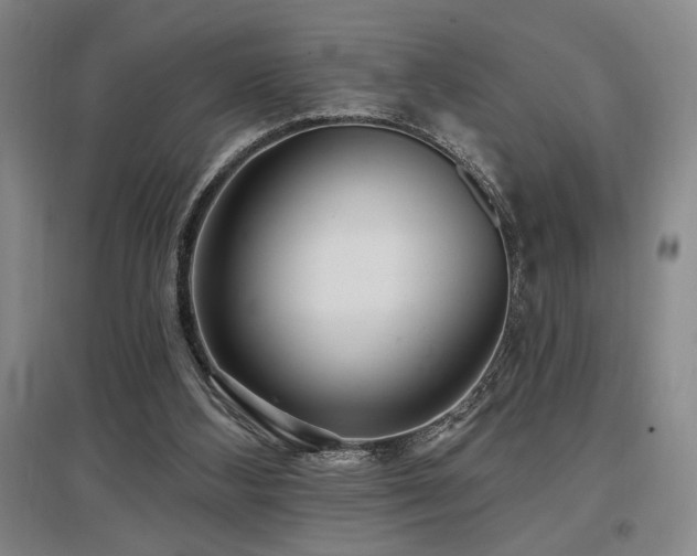 X0000097610108200802291311
