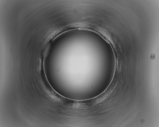 X0000097610109200802291311