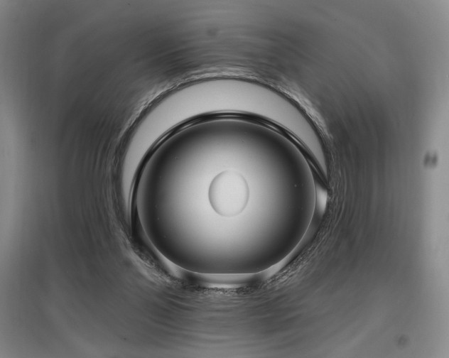 X0000097610110200802291311