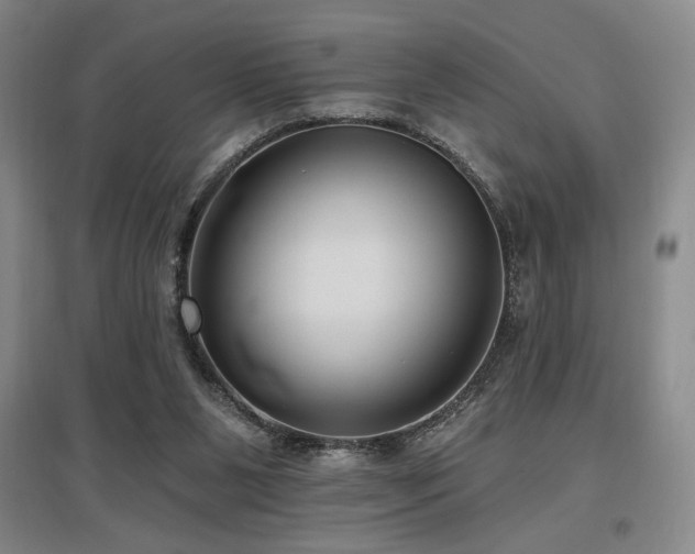 X0000097610111200802291311