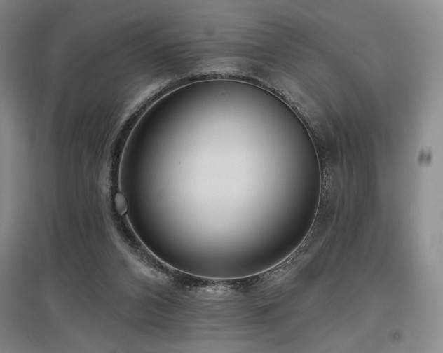 X0000097610112200802291311