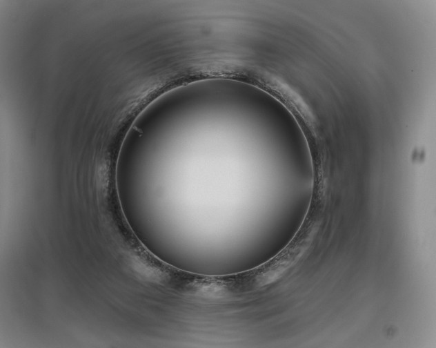 X0000097610113200802291311