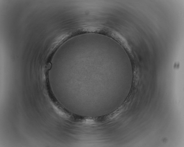 X0000097610114200802291311