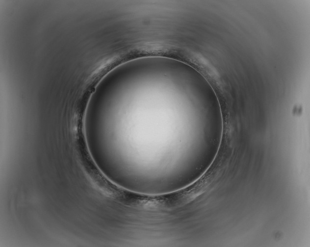 X0000097610115200802291311