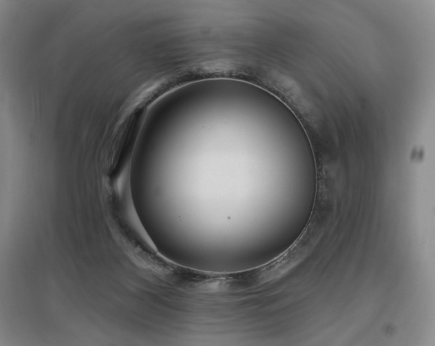 X0000097610116200802291311