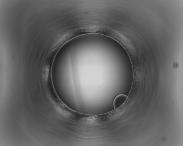 X0000097610118200802291311