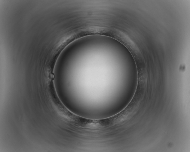 X0000097610119200802291311