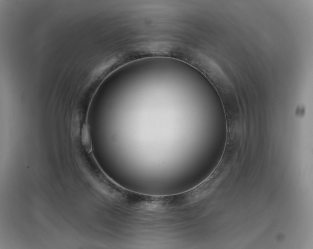 X0000097610120200802291311