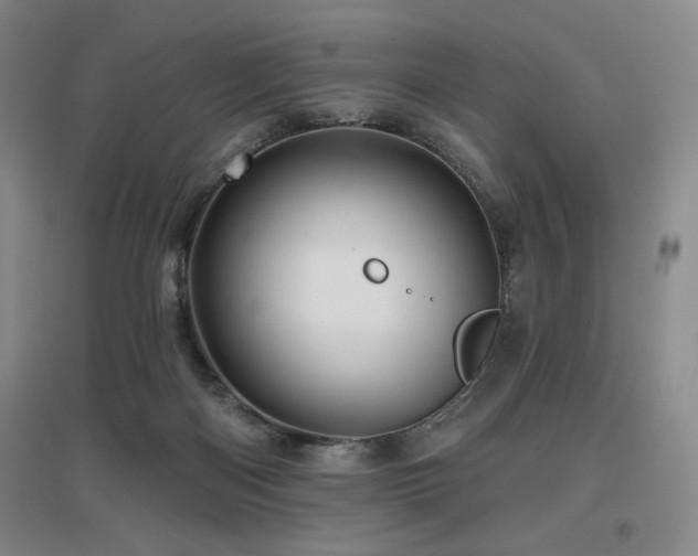 X0000097610122200802291311