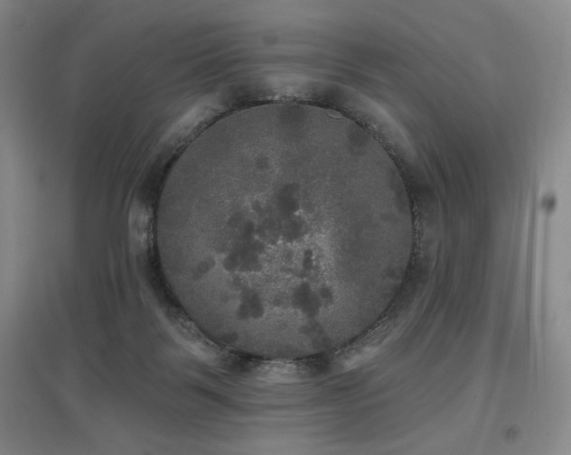 X0000097610123200802291311