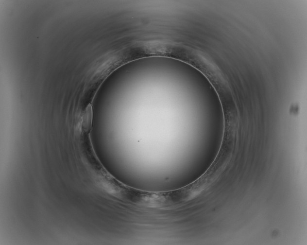 X0000097610125200802291311